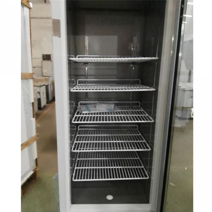 Εμπορικός ψυκτήρας ψυγείων ανοξείδωτου CE 250W 2
