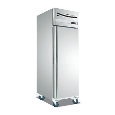 Εμπορικός ψυκτήρας ψυγείων ανοξείδωτου CE 250W