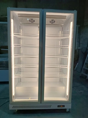 1000L εμπορικό ψυγείο γυάλινης πόρτας με ψυκτικό R290