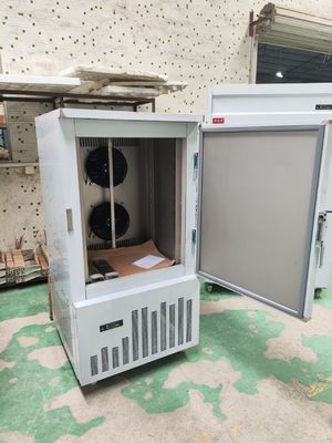 10 Trays Blast Freezer Commercial Cold Refrigerator -40 Degree Low-temperature