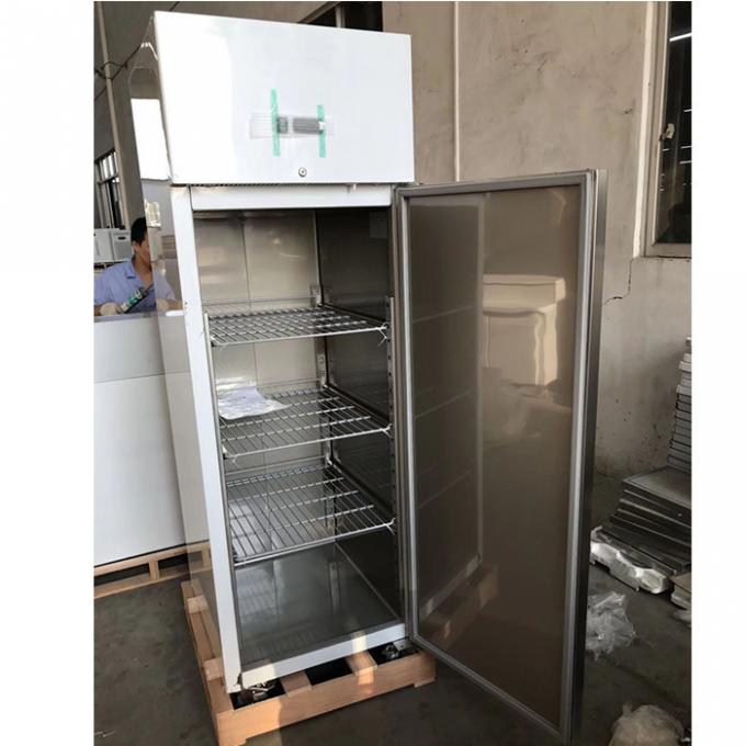 Εμπορικός ψυκτήρας ψυγείων ανοξείδωτου CE 250W 1